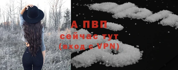 шишки Арсеньев