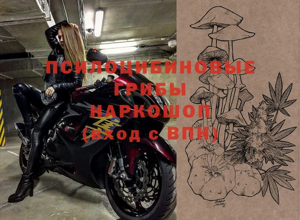 стаф Аркадак