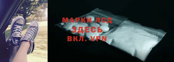 стаф Аркадак