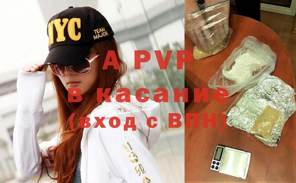 стаф Аркадак