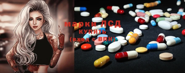 шишки Арсеньев