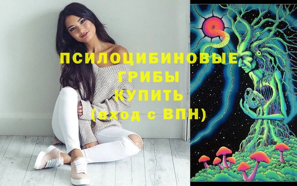 шишки Арсеньев
