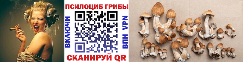 Галлюциногенные грибы Cubensis ссылка на мегу ссылка Краснодар